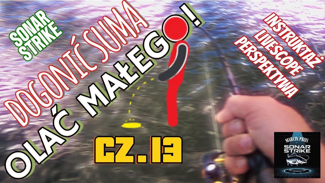 Dogonić suma - Olać małego! cz. 13. Garmin Livescope czyli perspektywa w praktyce.