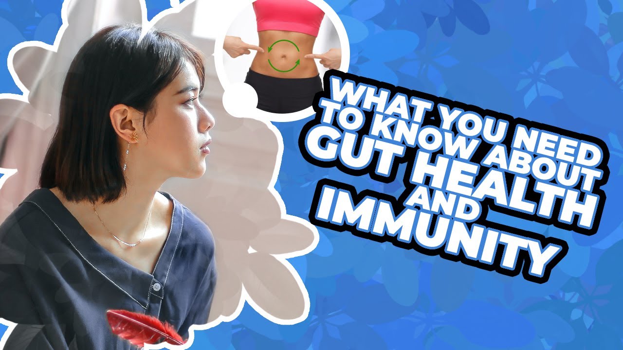 What You Need to Know About Gut Health and Immunity