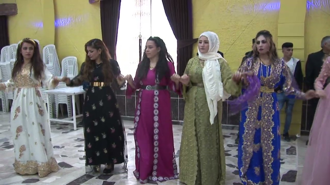 حفلات كرك فنان محمود جان مايسترو عزالدين جان وفيديو غمكين