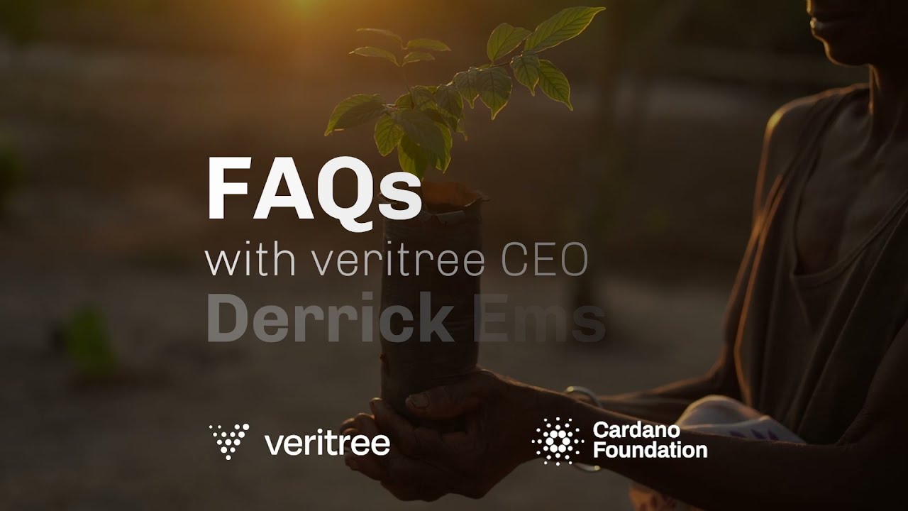 FAQ: How is veritree's tree planting technology different from others?