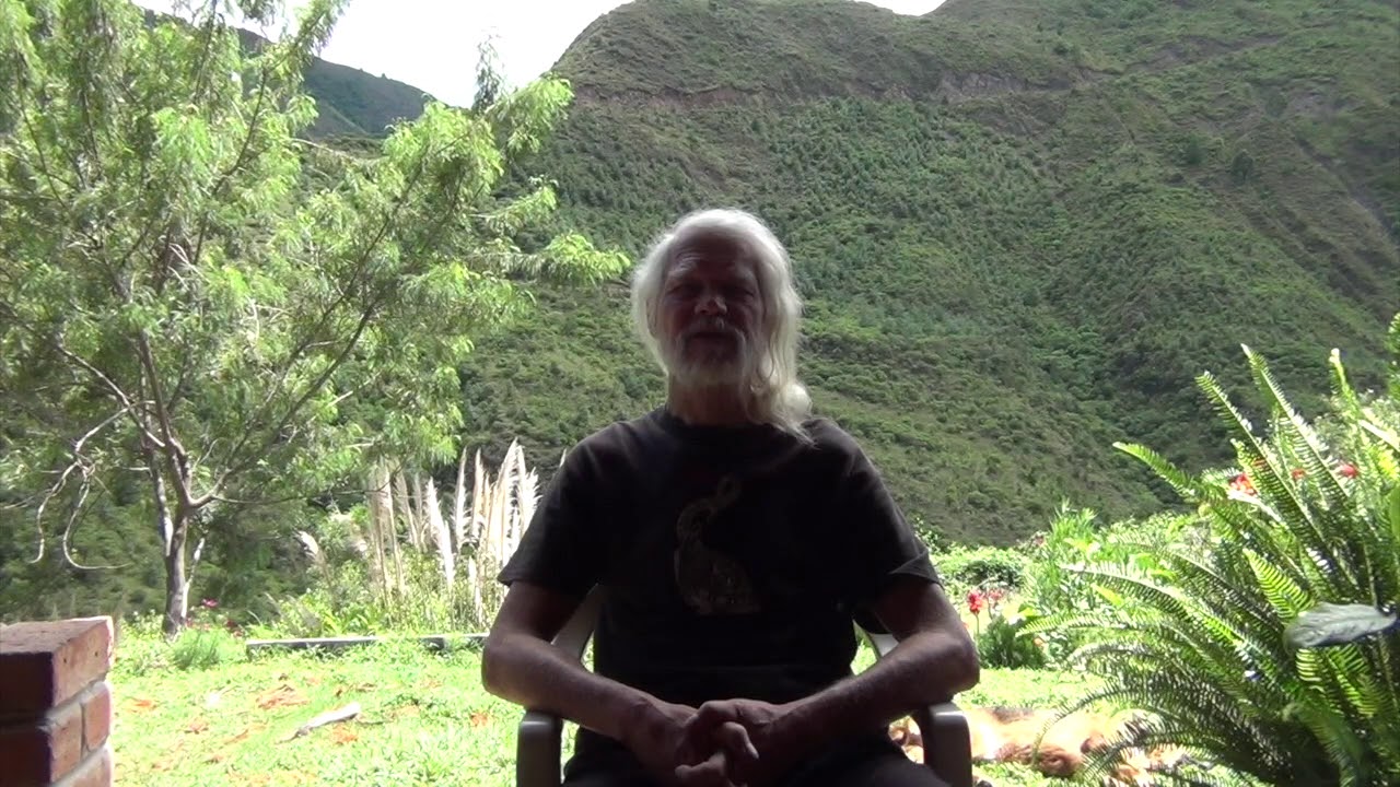 Zen vs Internal Alchemy