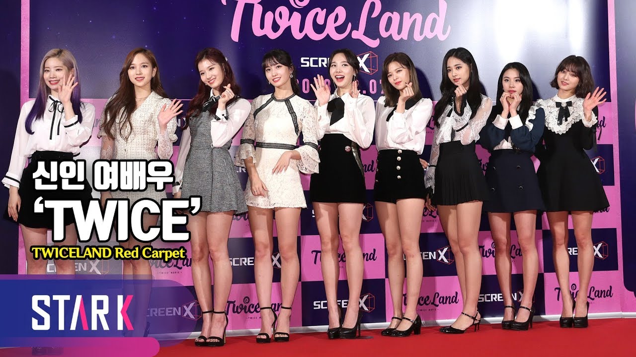신인 여배우 트와이스 