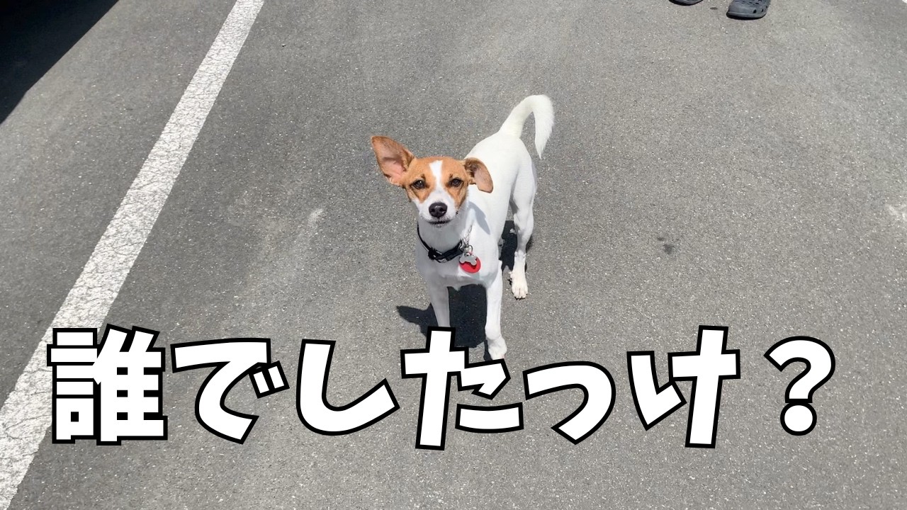 ２週間ぶりに奥さんに会うが、久しぶり過ぎて戸惑うKinako。