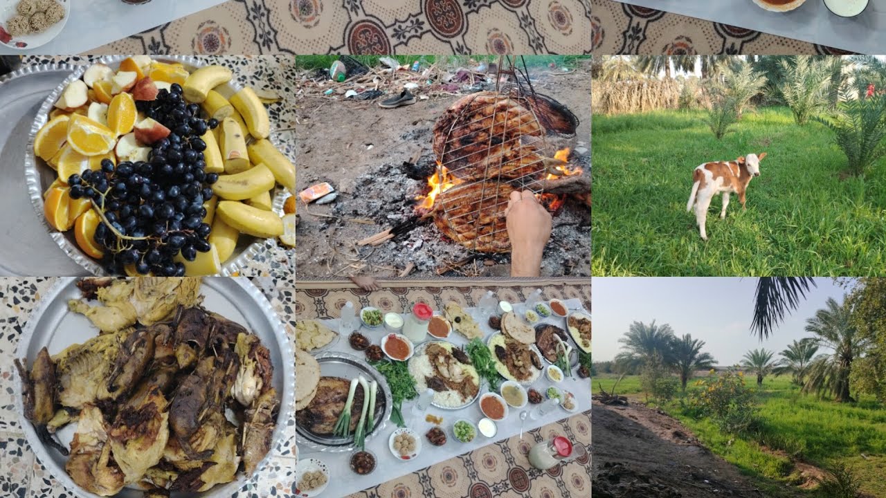 عزيمه وسفره +طبخت +رحت يم اخوي غيرنه جوه +مشاهده ممتعه ❤️🌙