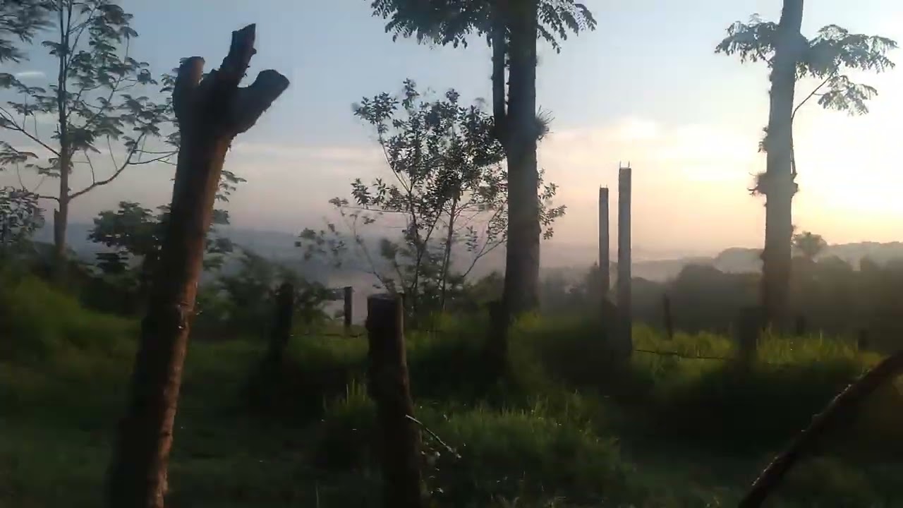 seguimos a tepetla
