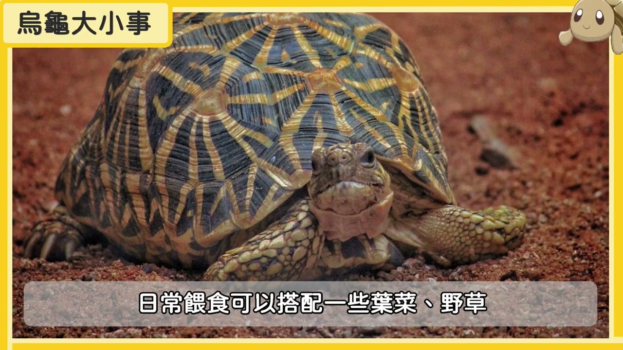 我的影片