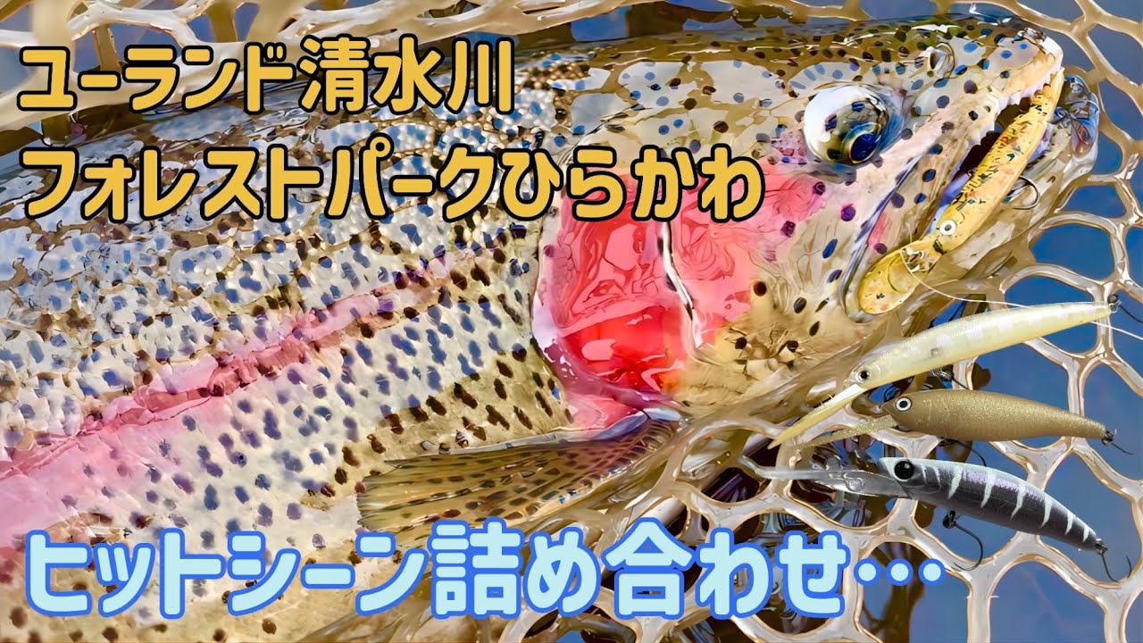 【エリアミノーイング】ヒットシーン詰め合わせ ユーランド清水川 フォレストパークひらかわ【エリアトラウト】