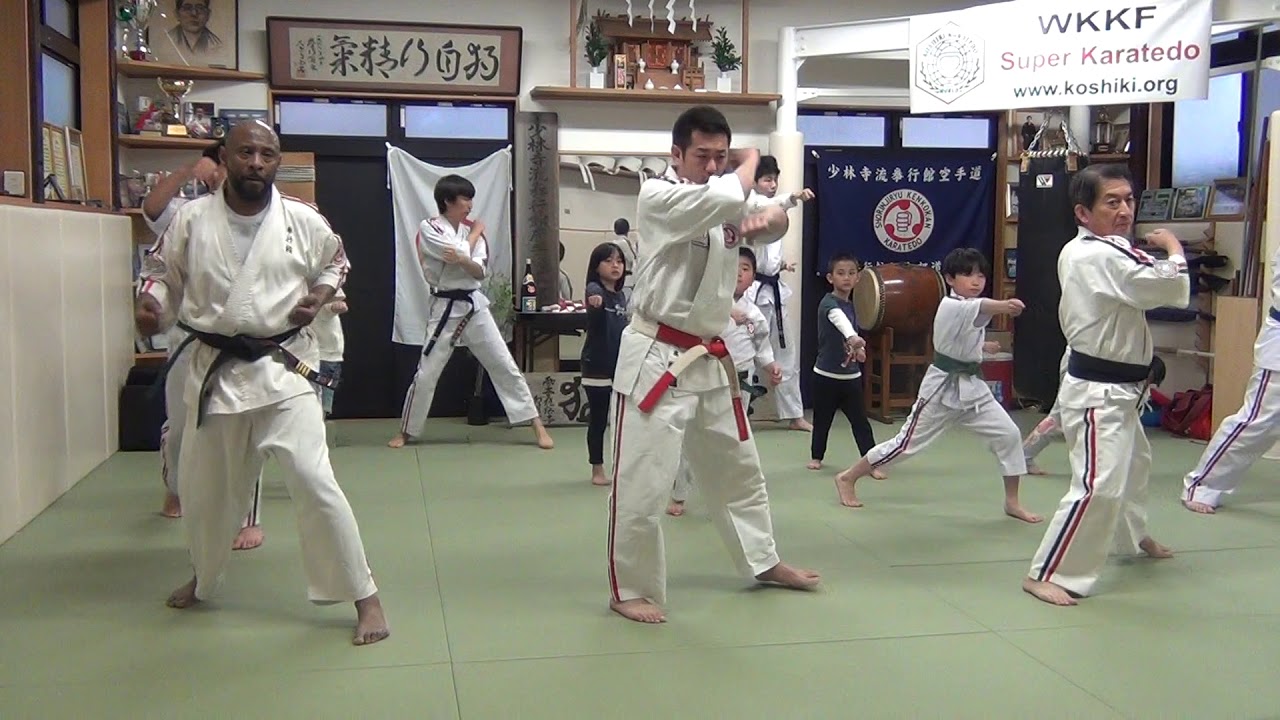 形　古式抜塞　バッサイ　Kata Koshiki Bassai