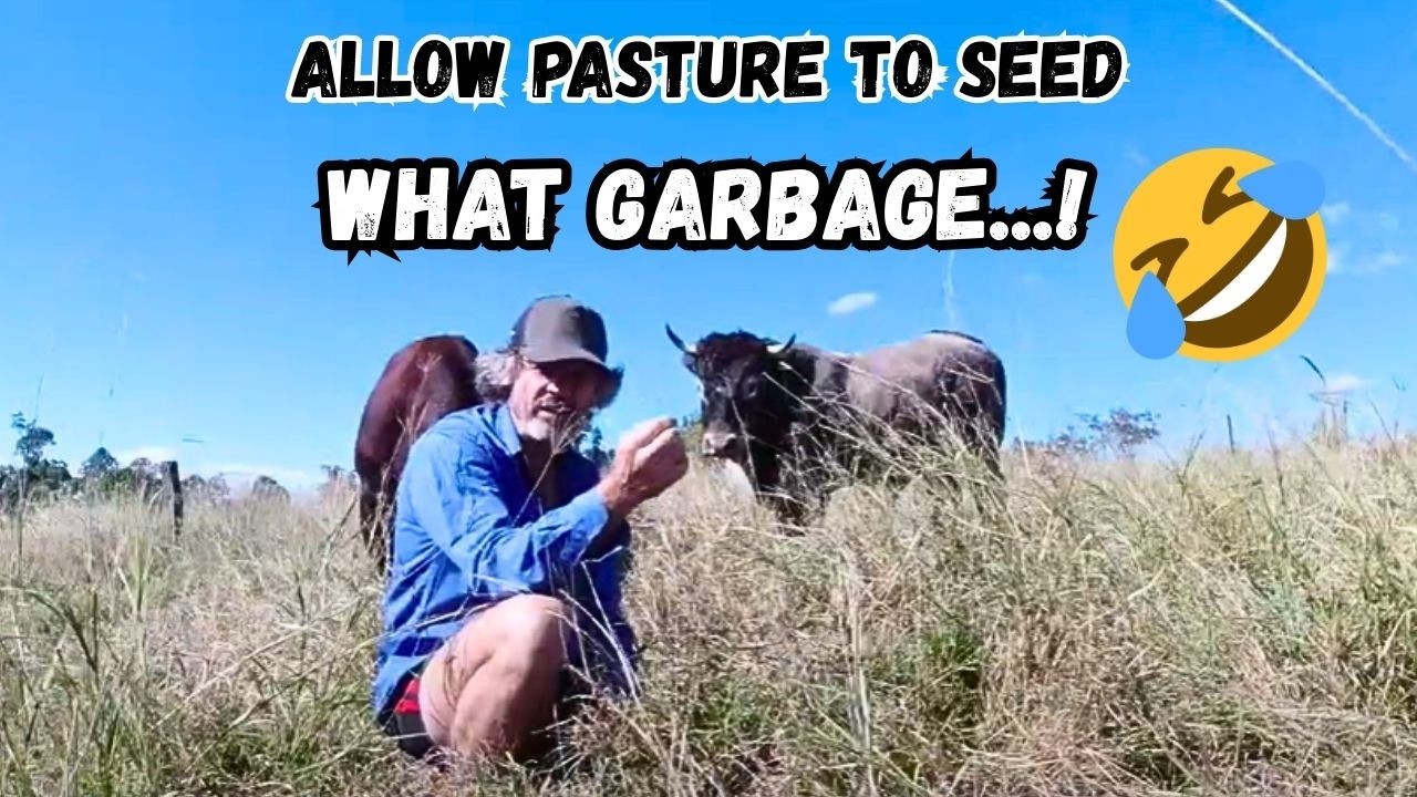 Pasture Grazed to 50%, that's WRONG I know...!!