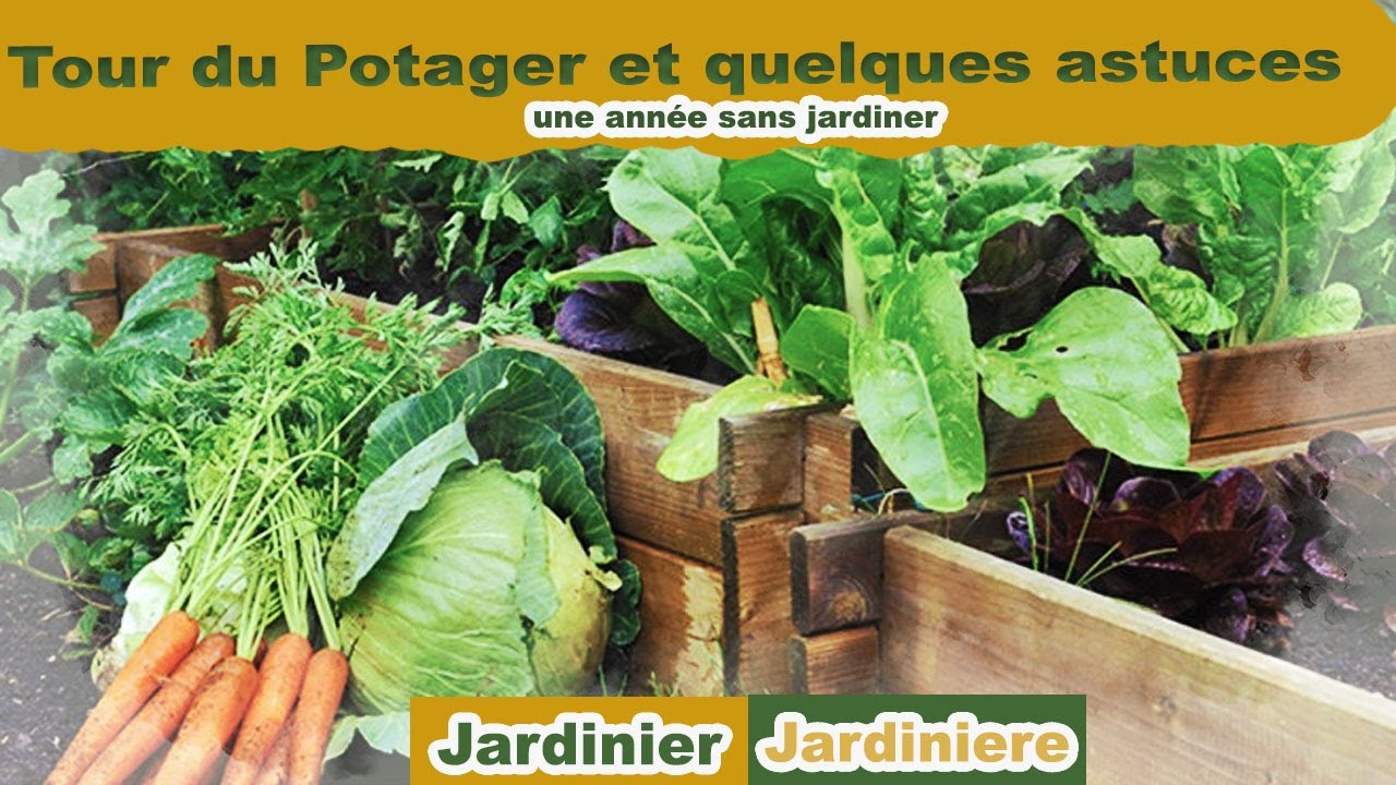 C'est parti pour une nouvelle saison bien avancée dans le jardin permaculture