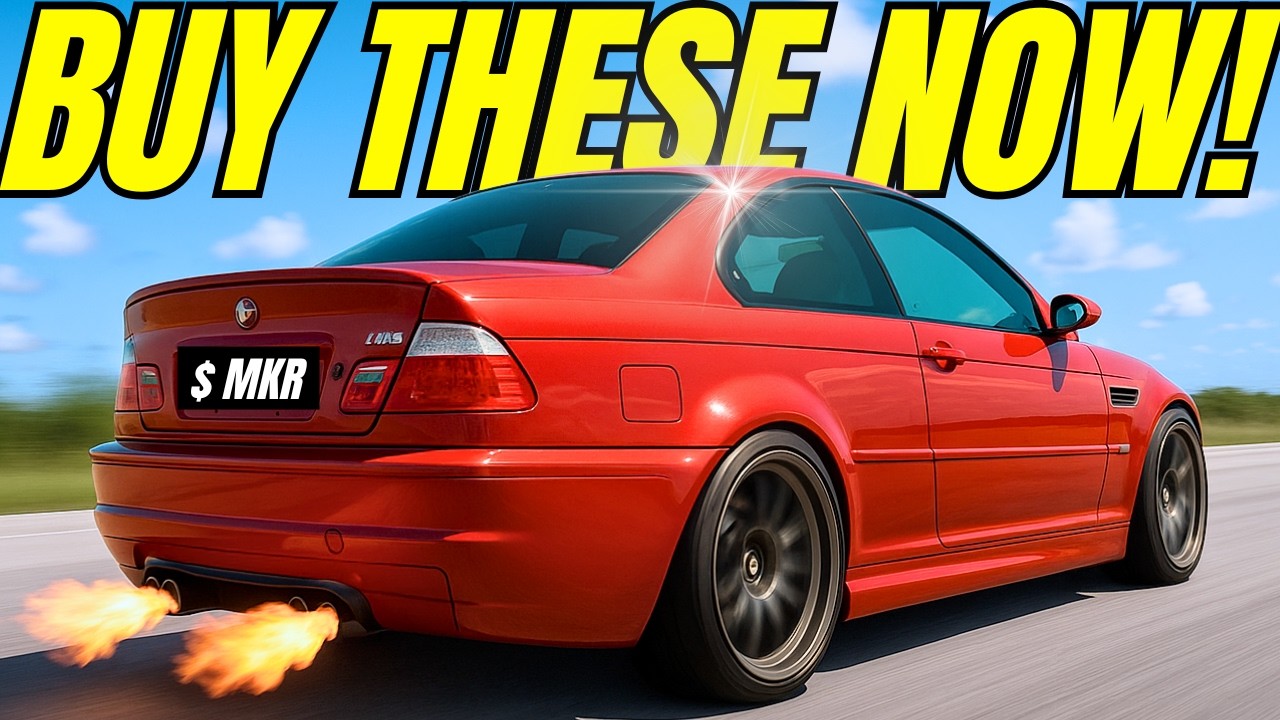 Fast FAST Cars You Can Drive AND Profit From