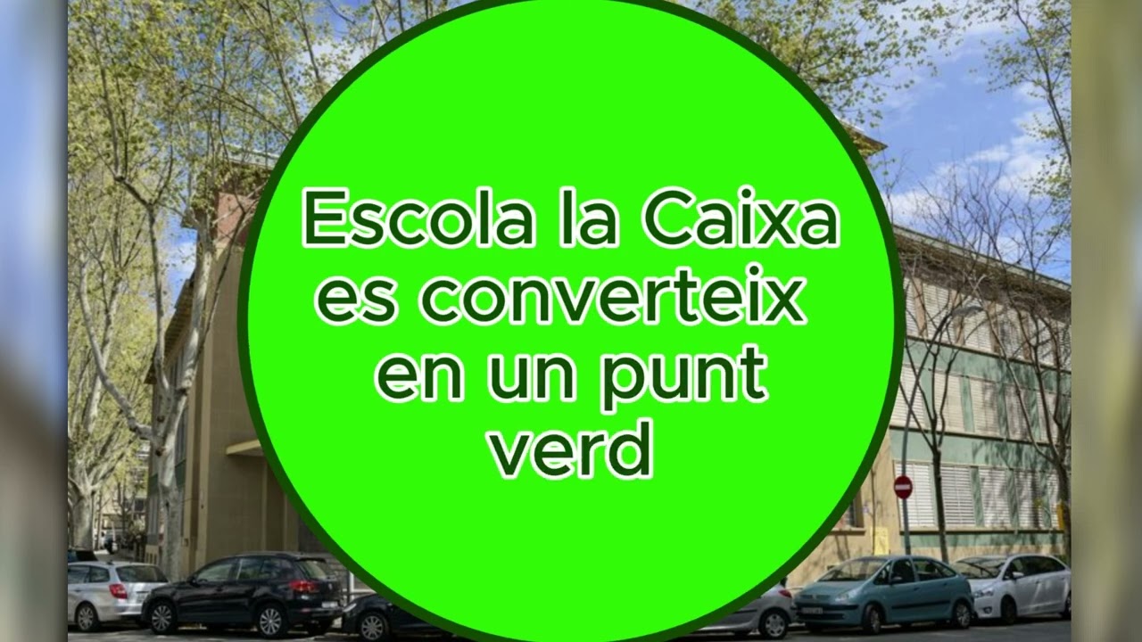 video cursa electronica