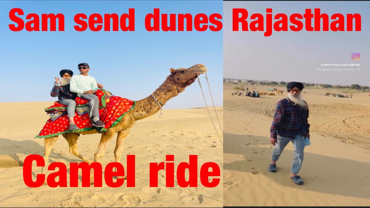 Day 8 Rajasthan camel ride and Jeep Safari ਰਾਜਸਥਾਨ ਊਠ ਦੀ ਸਵਾਰੀ #rajasthan #rajsthani #camel 