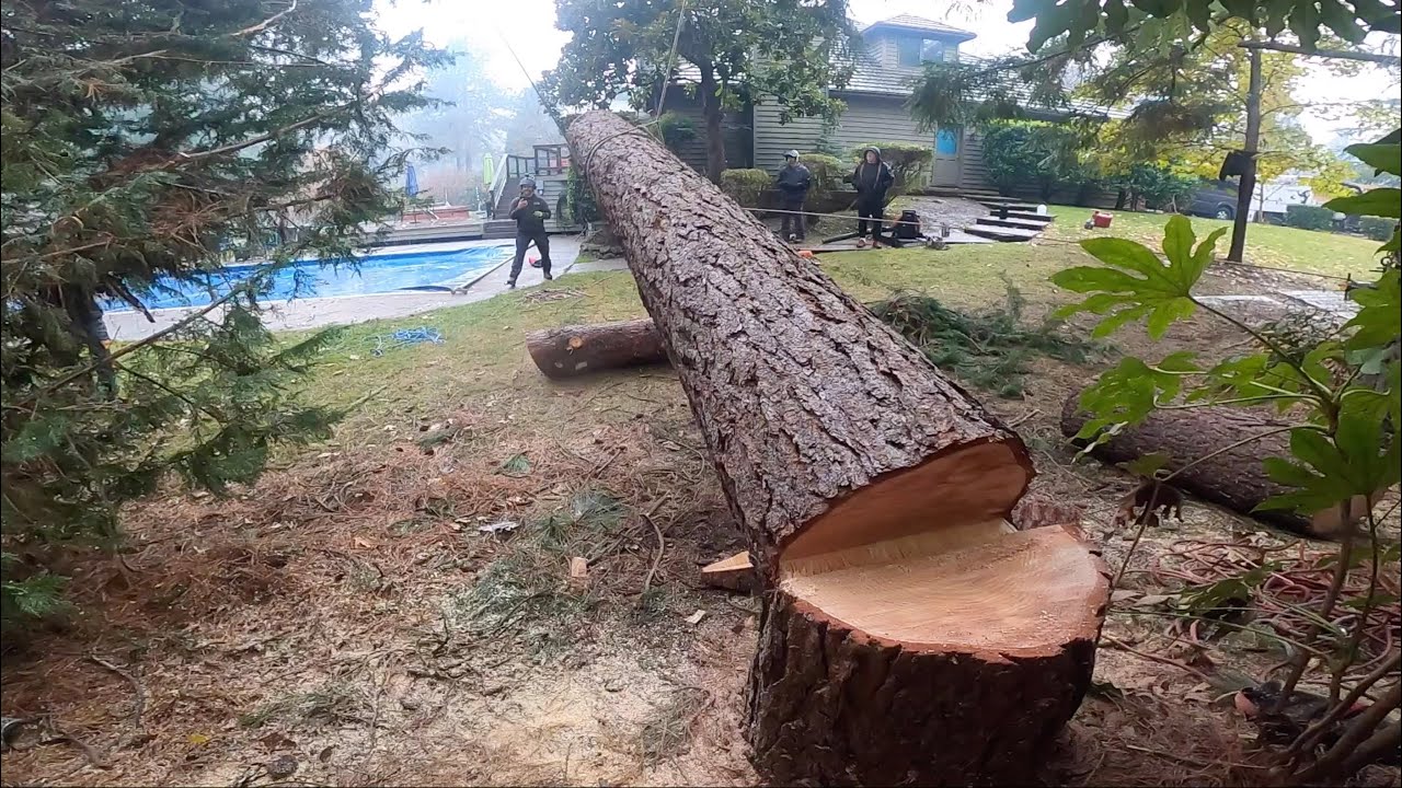 A CLOSE CALL (but everyone lived)