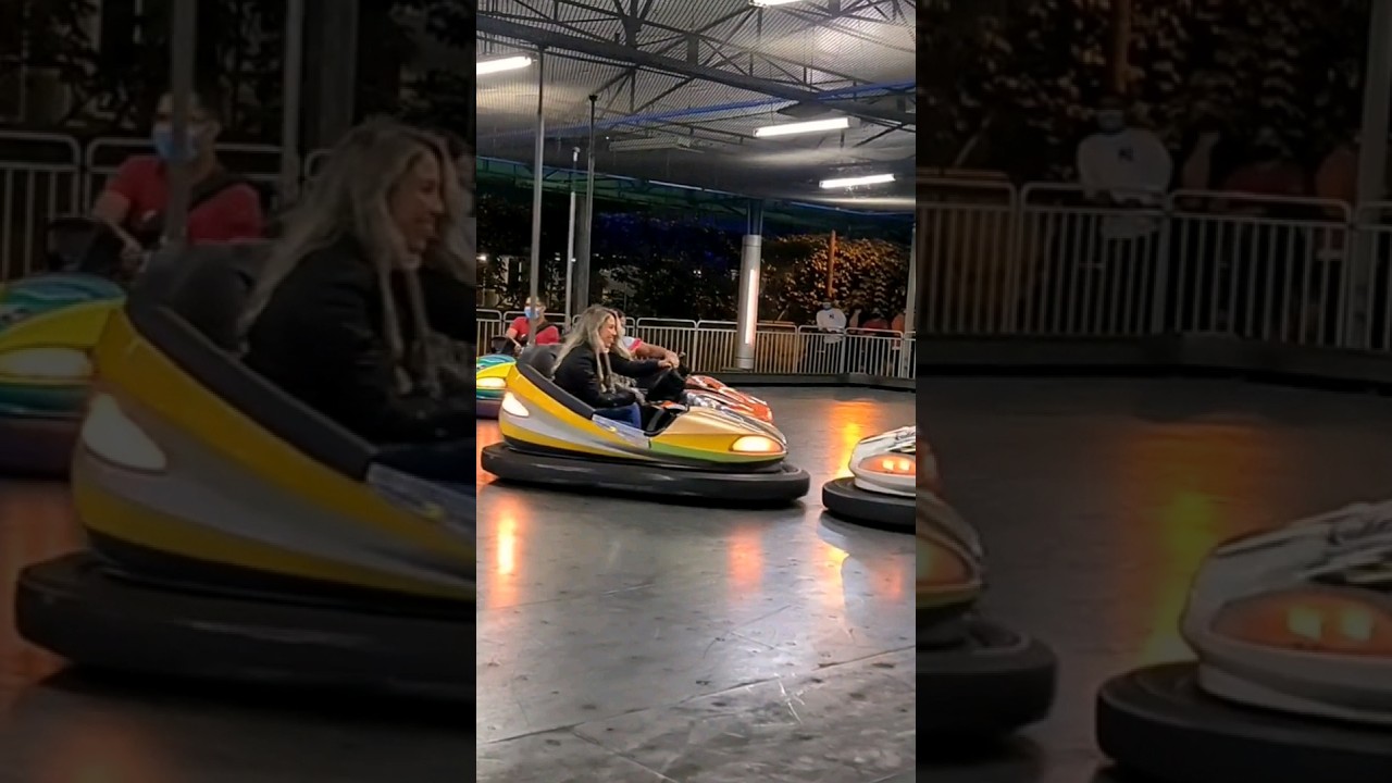 Bumper Cars 