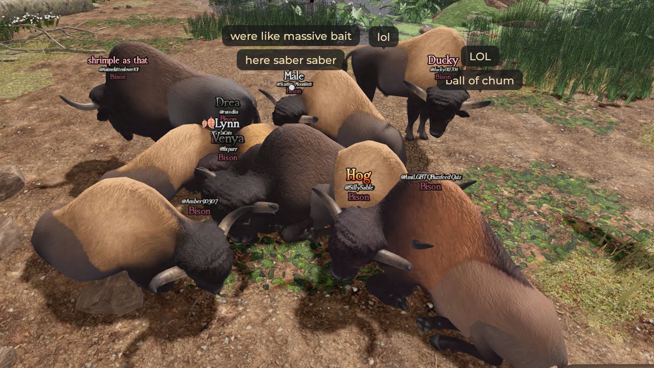 Bison herd gameplay | Ecos: La Brea
