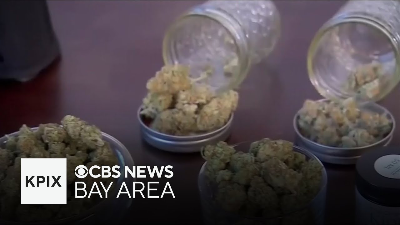 Cannabis dispensary operator celebrates new law halting hike in excise tax