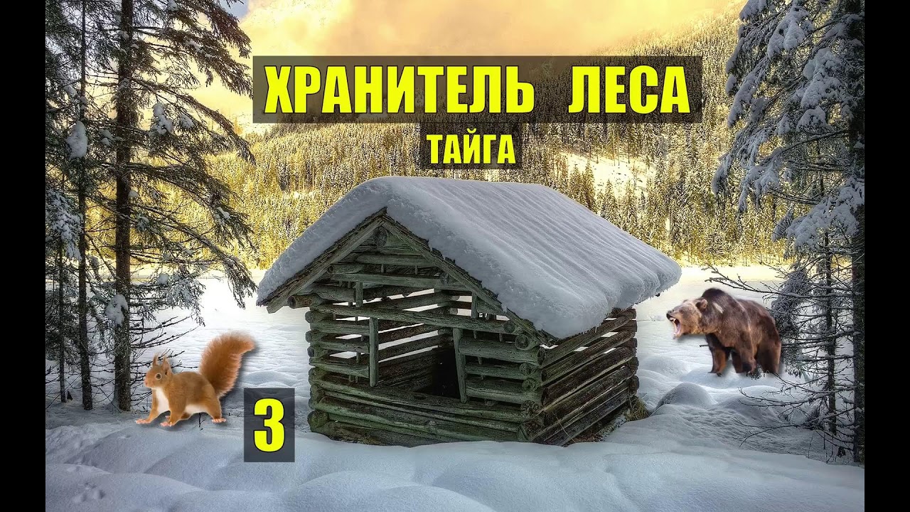 ИСТОРИИ из ЖИЗНИ РАССКАЗЫ ЛЕСНИКА ЖИЗНЬ МЕДВЕДИ ВОЛКИ в ЛЕСУ СЕРИАЛ ВСЕ СЕРИИ
