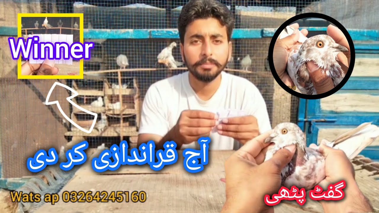 Aj qurandazi kardi || Lal cheeni pathi gift 🎁