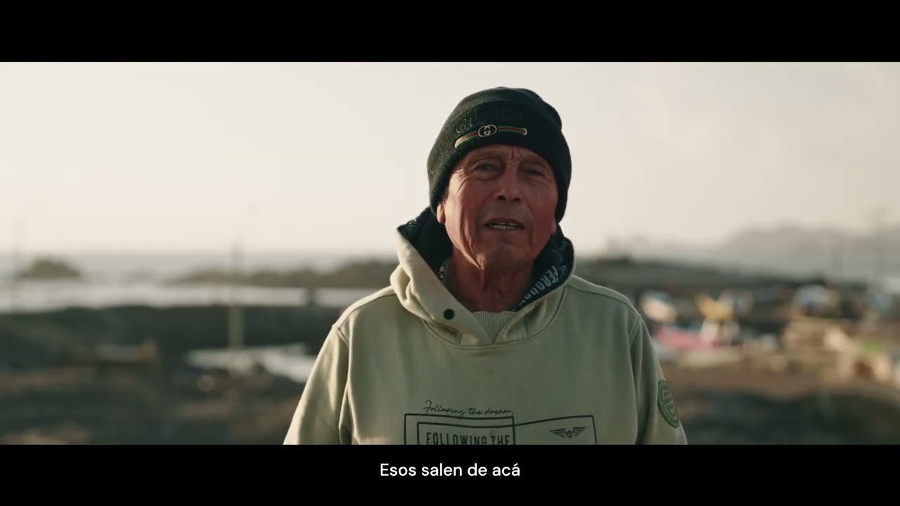 Carrizal Bajo - Huasco