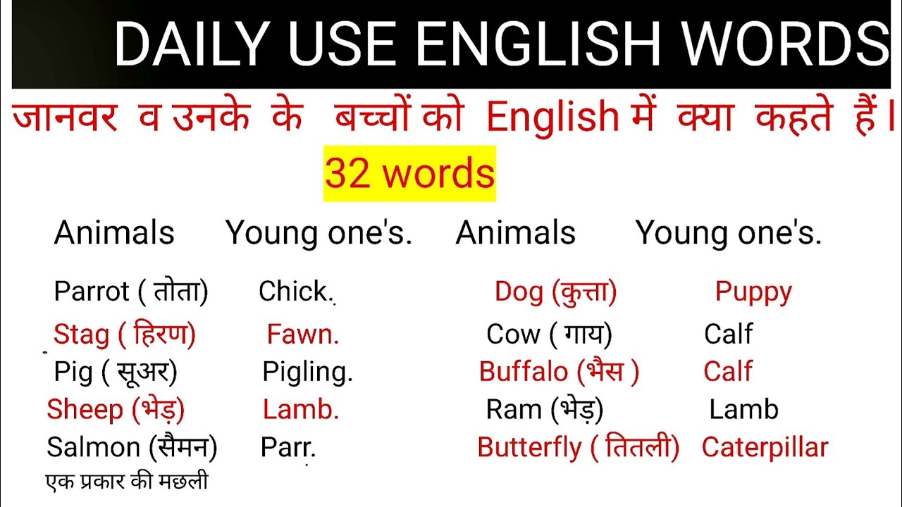 जानवर ( Animals) व उनके बच्चों  को English  में क्या कहतें है  // Daily use English words #vocabs