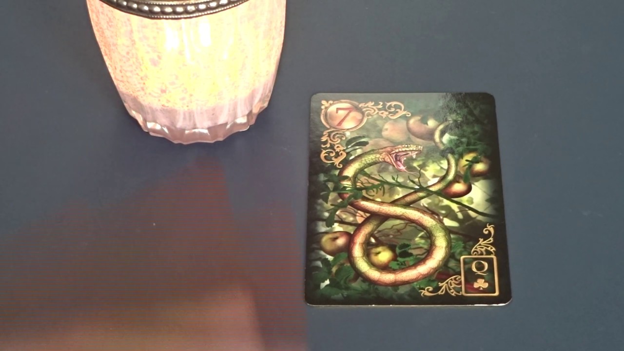 LENORMAND. 7. Die Schlange // *ausführliche Deutung*