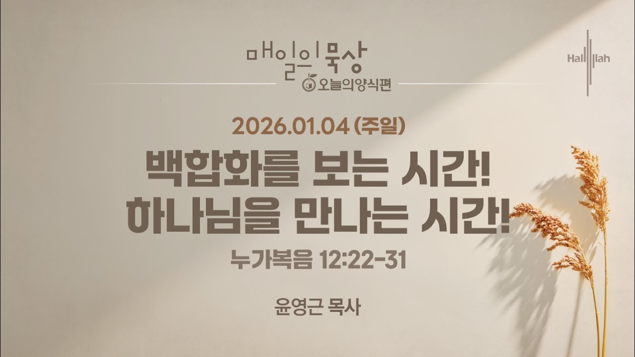 [1월 4일 주일] 매일의 묵상ㅣ백합화를 보는 시간! 하나님을 만나는 시간!ㅣ윤영근 목사