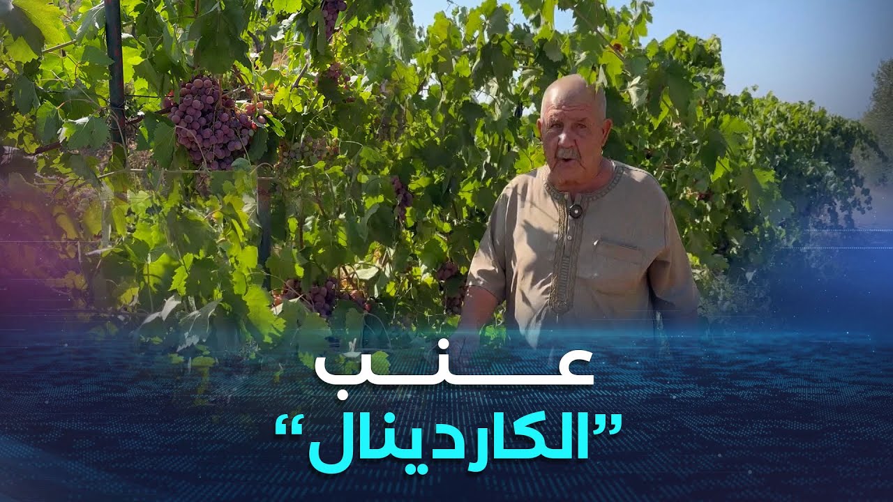 بومرداس.. 