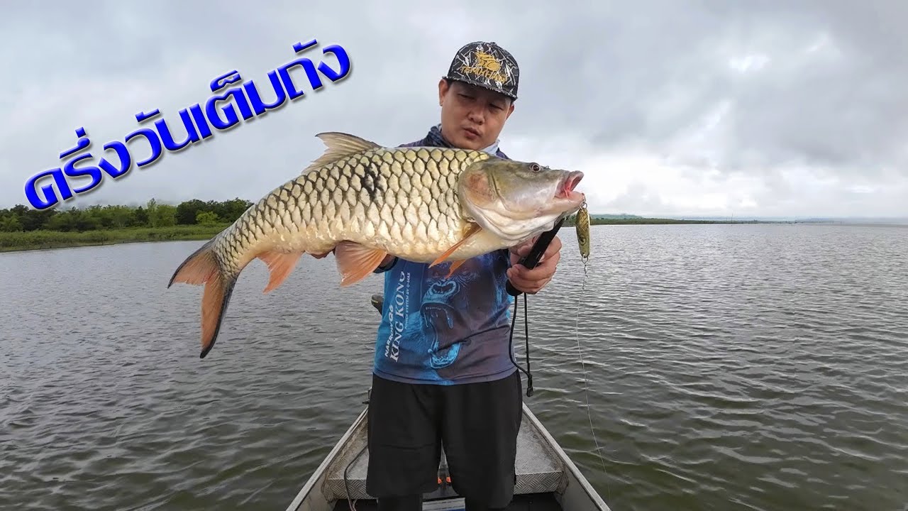 ตกปลากระสูบครึ่งวันเต็มถัง