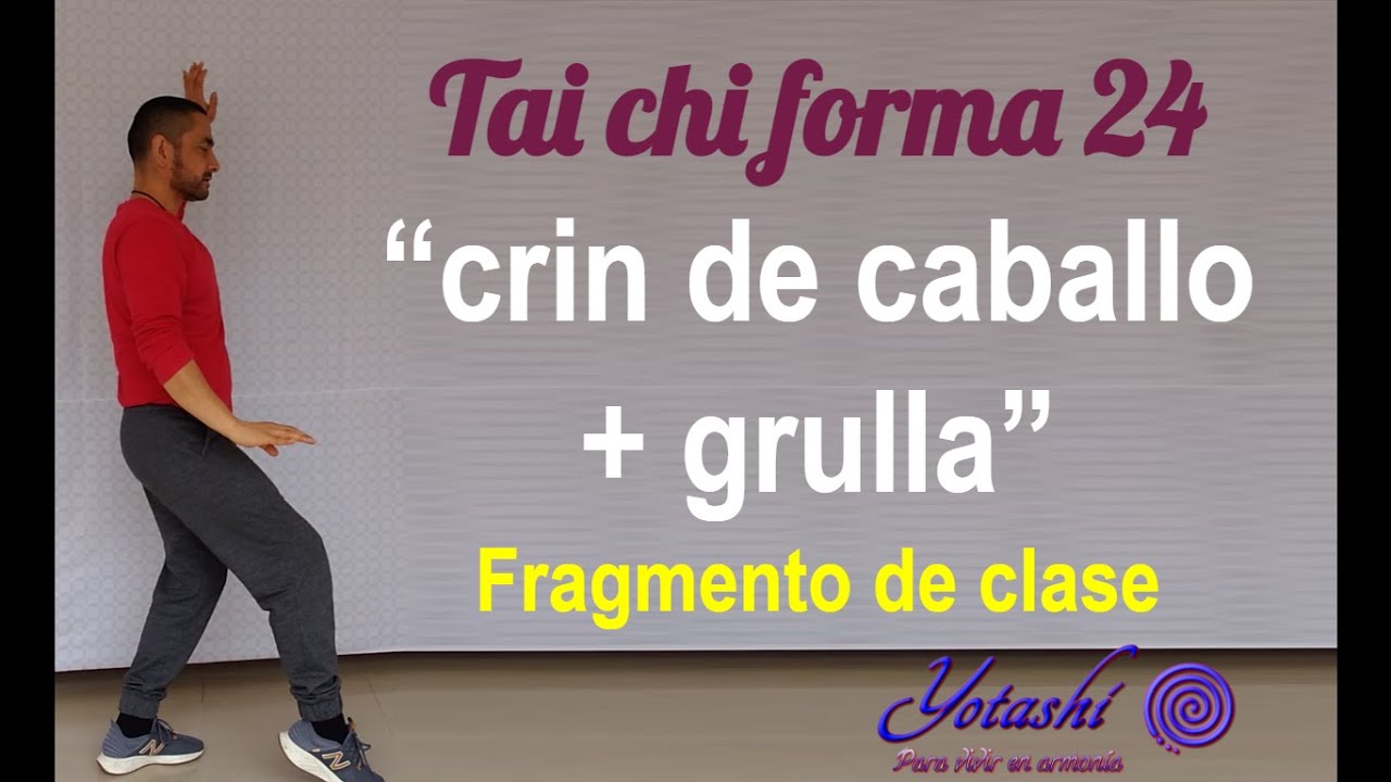 Acariciar la crin del caballo | Tai chi forma 24 | para principiantes | fragmento de clase