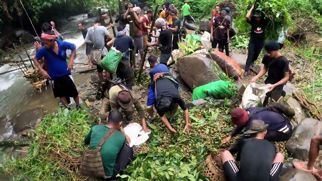 Community Fishing at Yongnyah – Nagaland