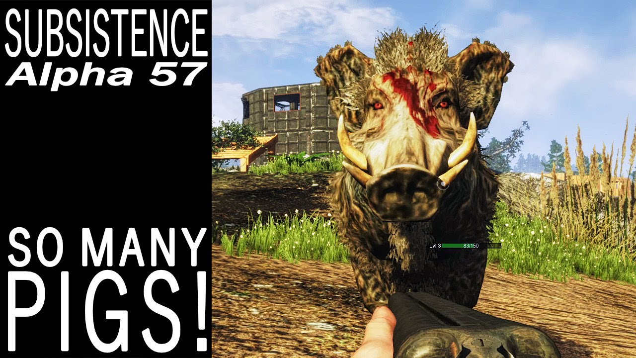 So Many Pigs! | Subsistence Single Player Gameplay | EP 389 | Season 5
