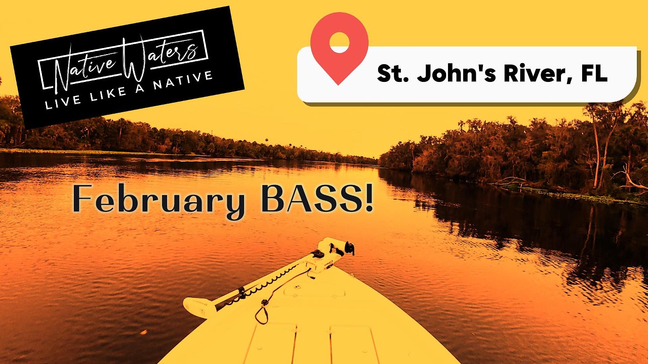 February Bass Fishing on St John's RIver, FL #bassfishing #stjohnsriver #floridafishing #bassmaster