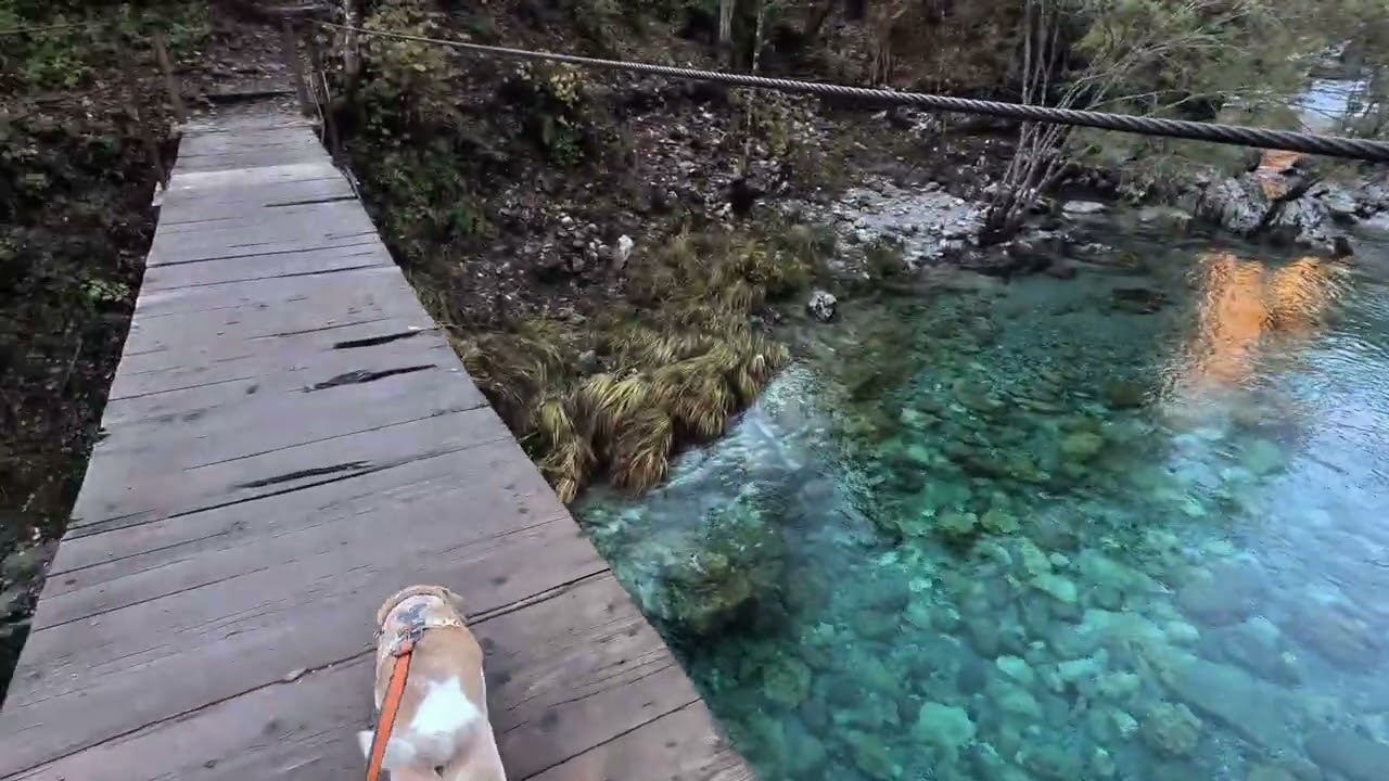 Albania - pierwszy tydzień. Shkodra i okolice. 