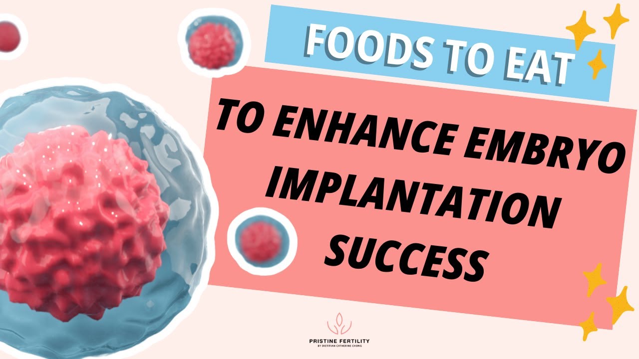 Top Foods to Boost Implantation Success