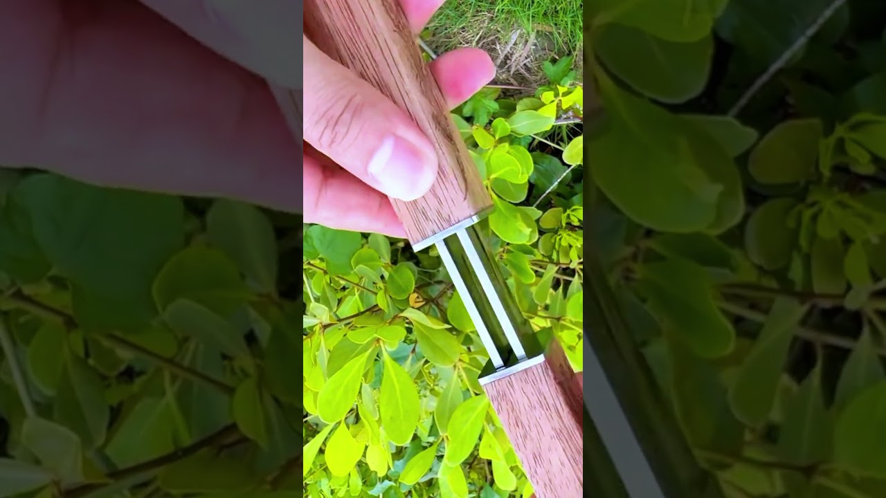 wow