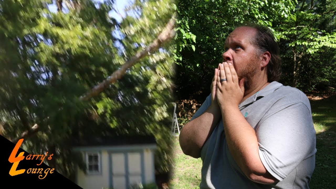 My Shed Got Hit By A Tree?!