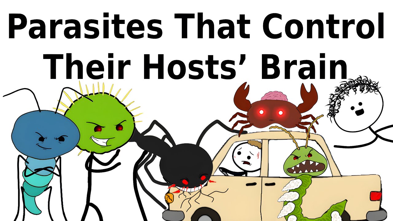 Паразиты, контролирующие мозг своих хозяев