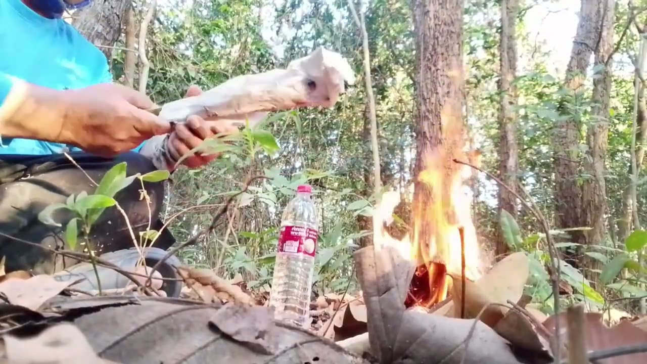 👉🐔เข้าป่าหาที่ซุ่มดูไก่ป่า ผลสุดท้ายหมดเเรง 😱 ปีนขึ้นต้นไม้😢 #lifeisbutadream 