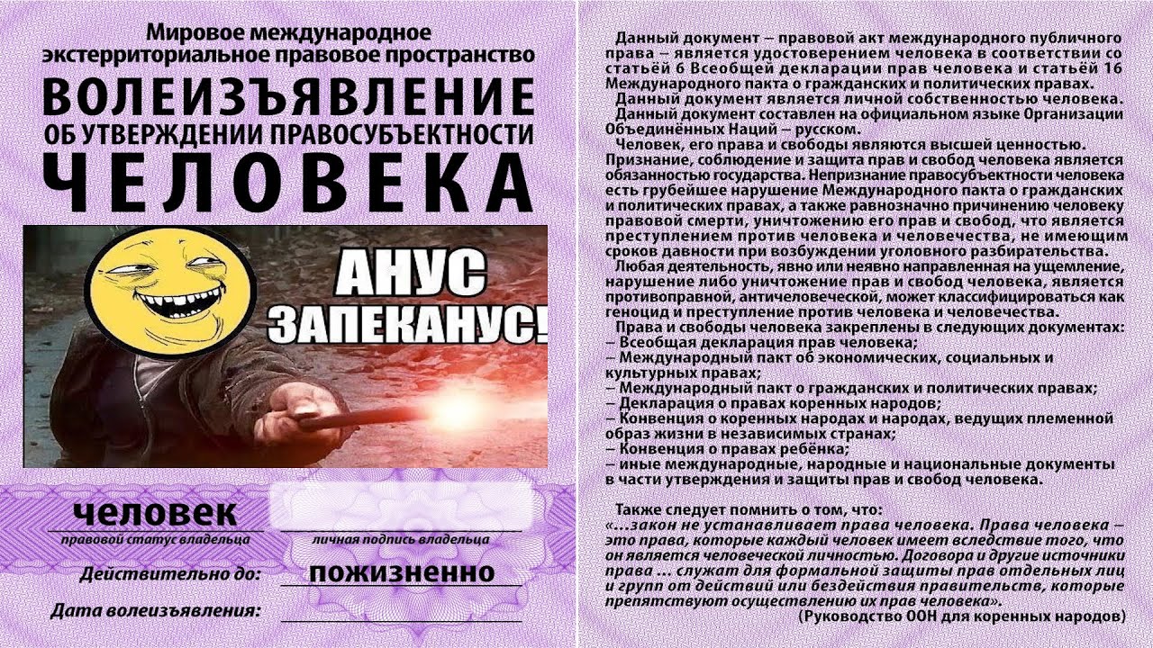 Самое правильное Волеизъявление Человека? 🔥