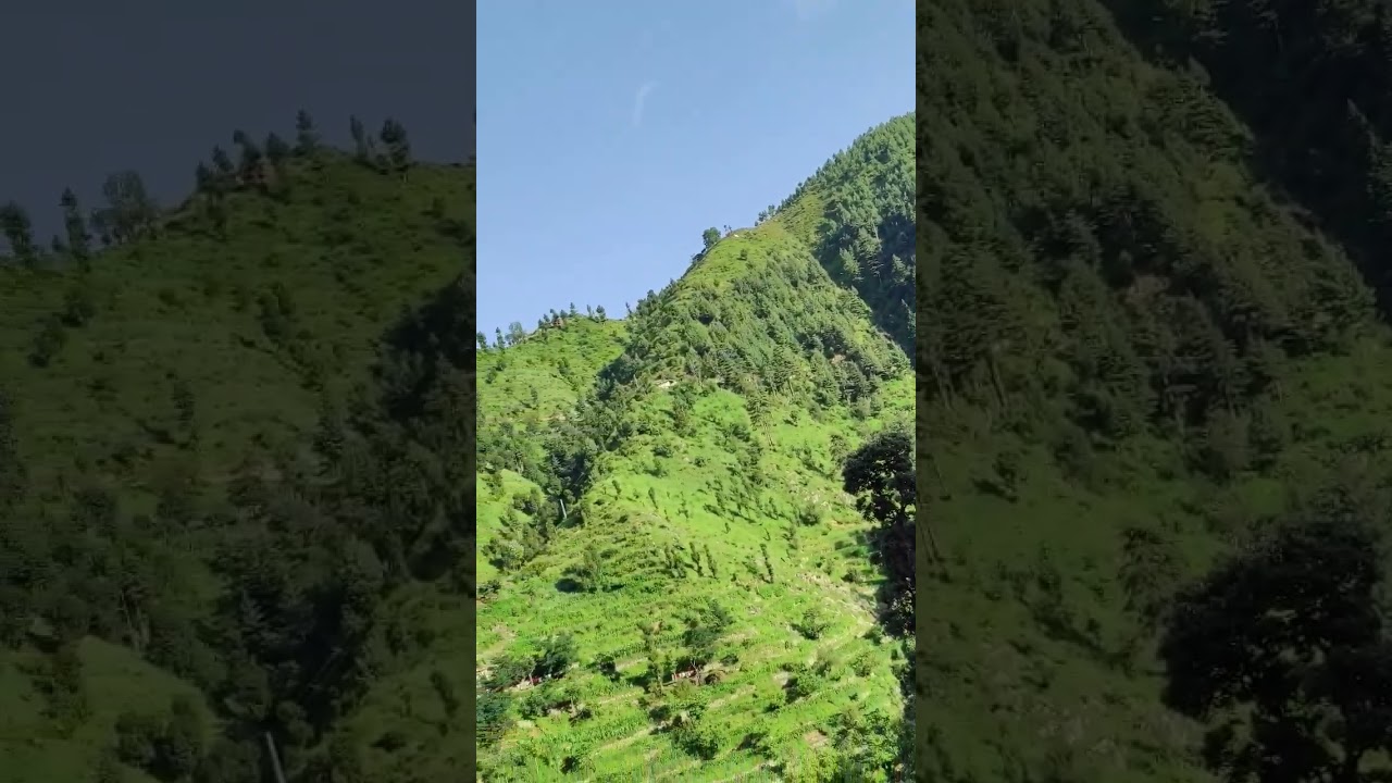 Swat Qalagy #viral #trending #beautyofnature