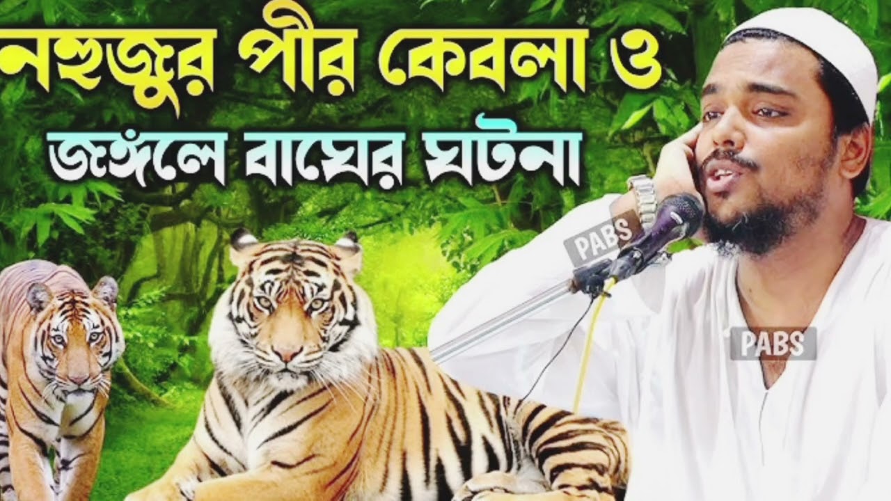 আল্লাহ- অলি- ও- জঙ্গলে- দুই- বাঘের- দেখা। পীরজাদা আব্বাস সিদ্দিকী ভাইজান 