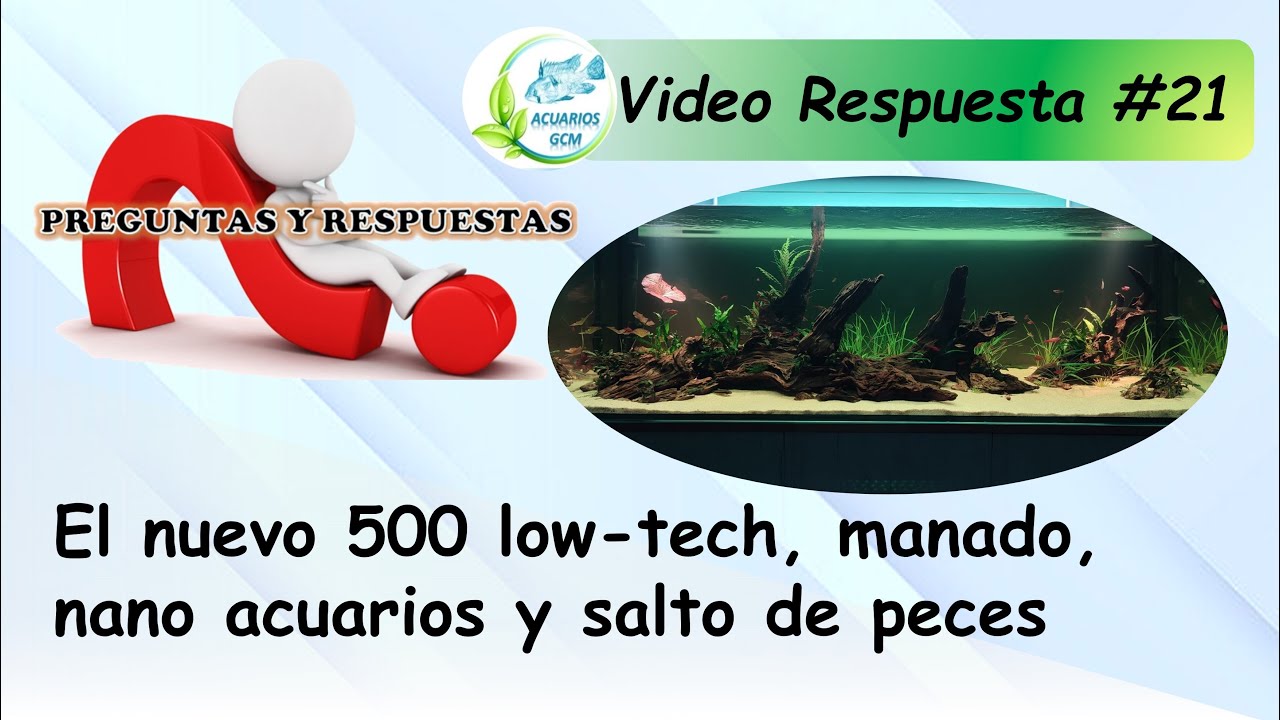 Respondiendo a Suscriptores #21: Nuevo 500 Low-Tech, Manado JBL, Nano Acuarios y Salto de los Peces