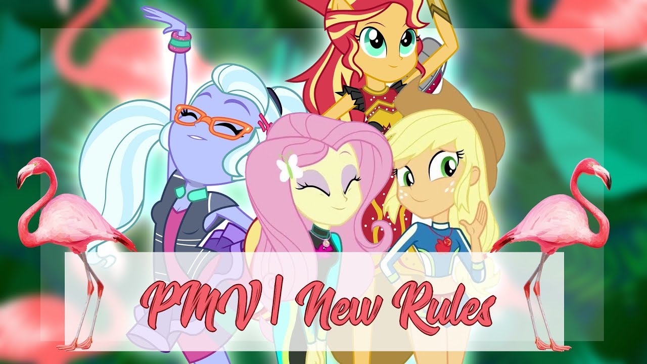 PMV | New Rules