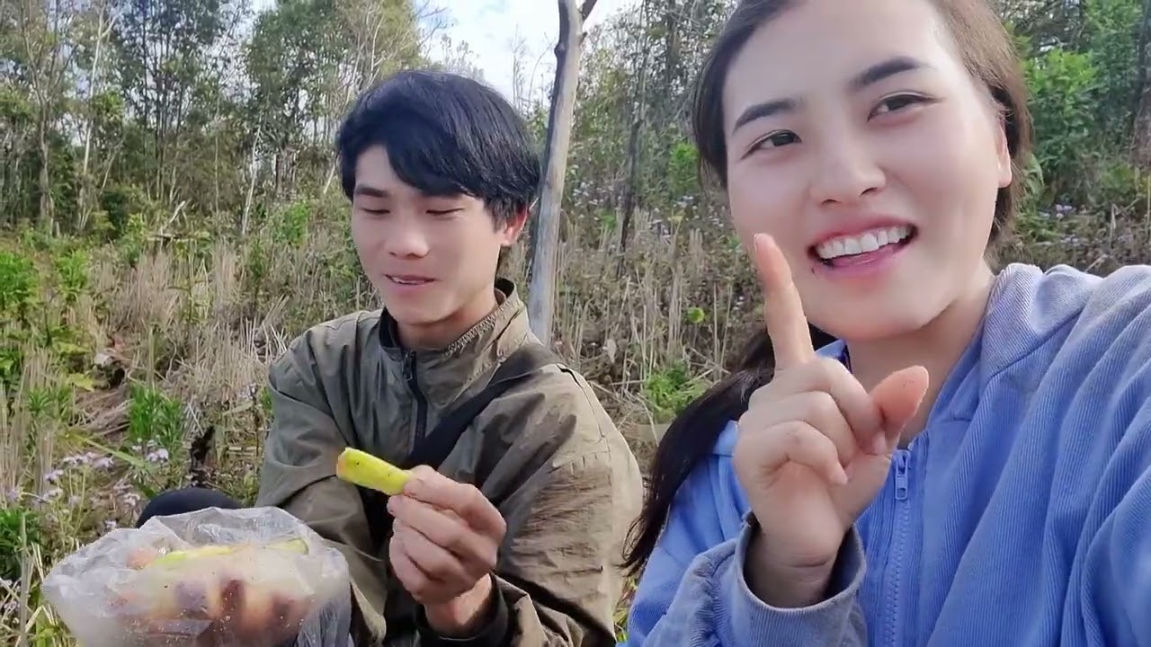 Посмотрите на овец и коз, давайте выберем крупный рогатый скот в феврале 2026 года.