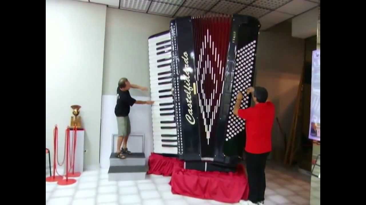 Happy Birthday Accordion
