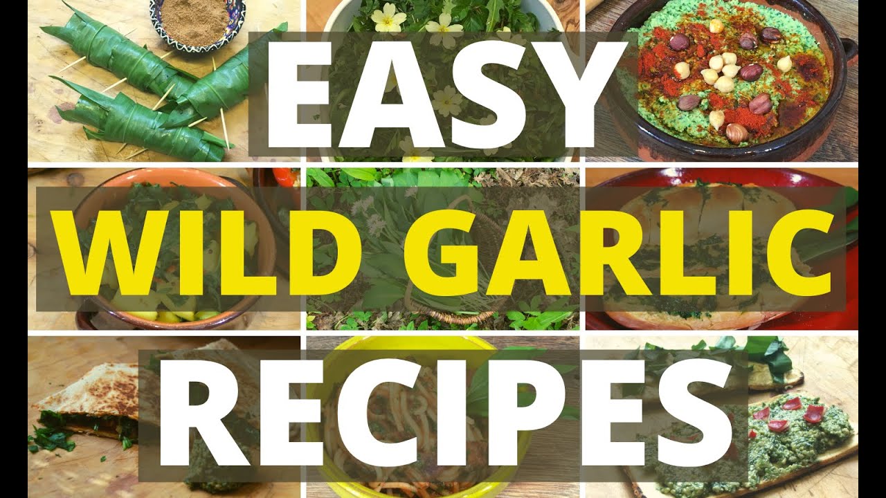 Top 11 Easy Wild Garlic Recipes