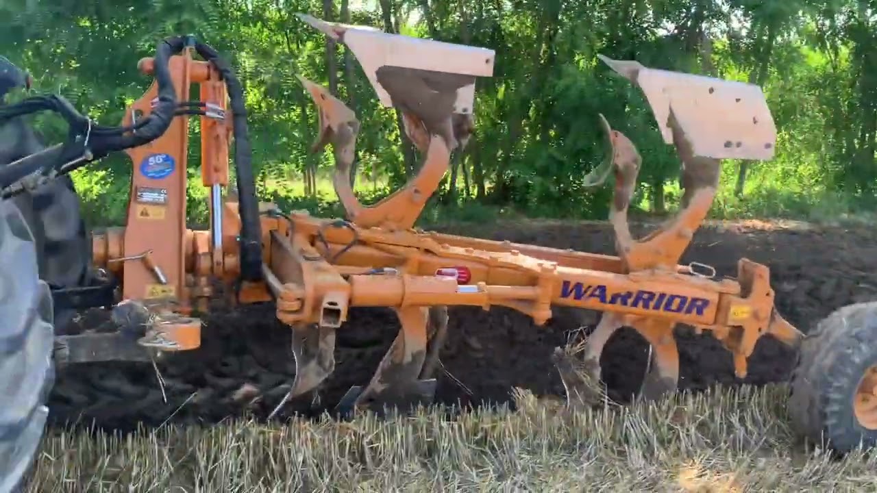 Aratura 2023