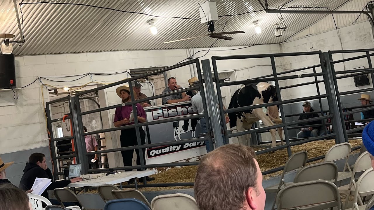 Herd Dispersal Highlights