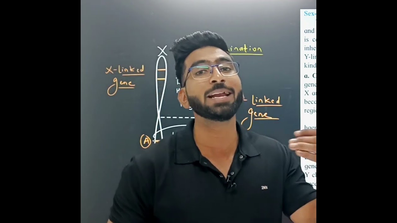 Sex linkage || Inheritance and Variation || class 12 Biology || MHT CET || NEET 
